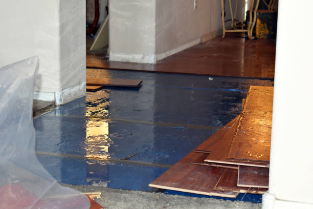Professional Burst Pipe Cleanup technician working in New London, NH